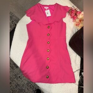 TCEC Pink Midi Dress with Scalloped Collar Size Large